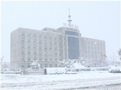 瑞雪兆丰年，踏雪沃尔华